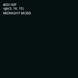 #03100F - Midnight Moss Color Image